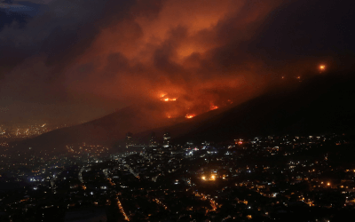 Unprecedented Vegetation Growth Heightens Fire Risks in Western Cape